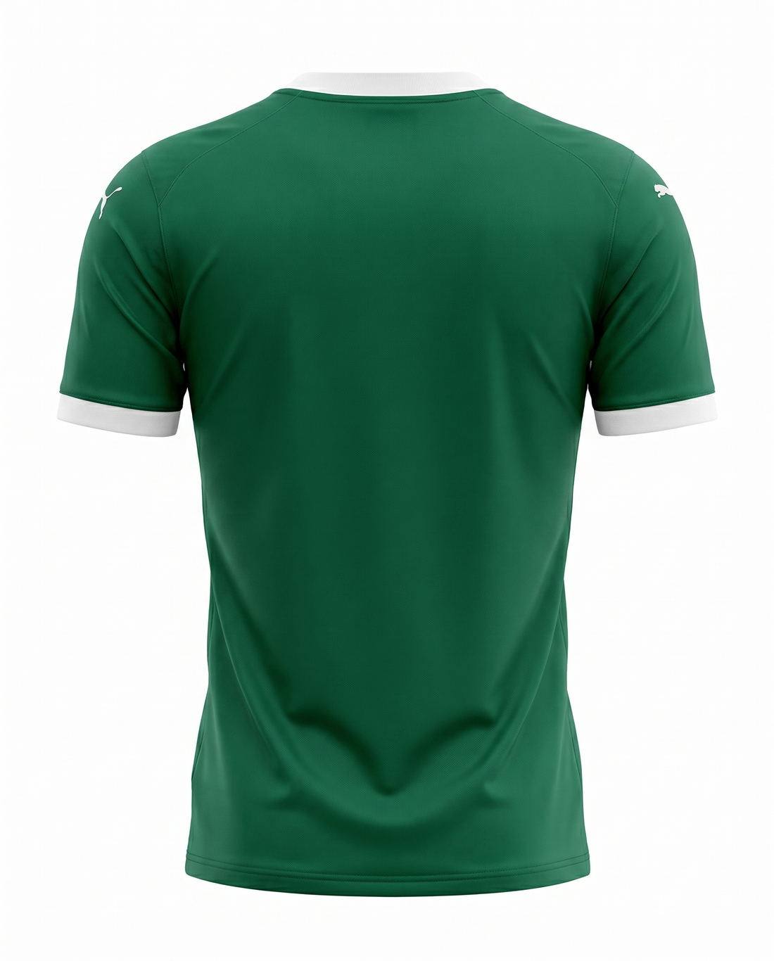 Palmeiras 2025-2026