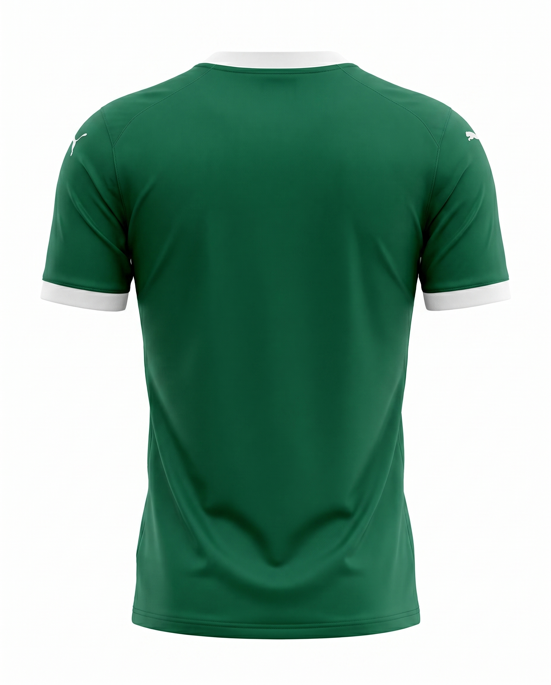 Palmeiras 2025-2026