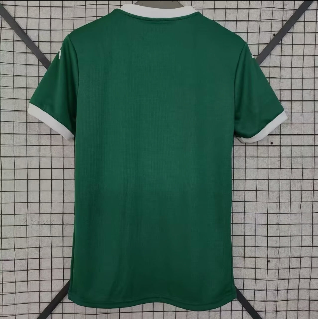 Palmeiras 2025-2026