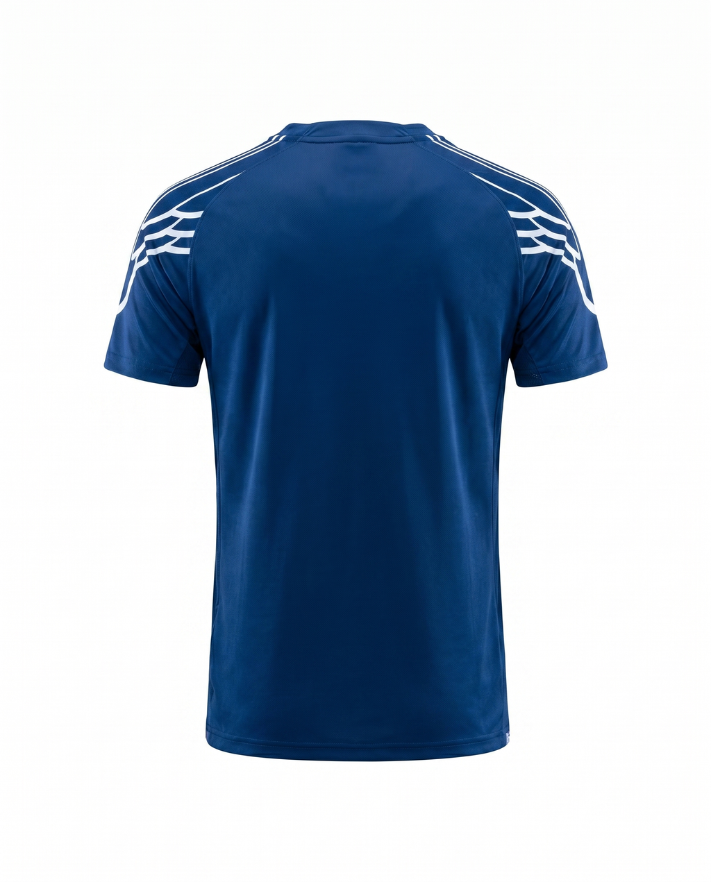 PSG 2024-2025