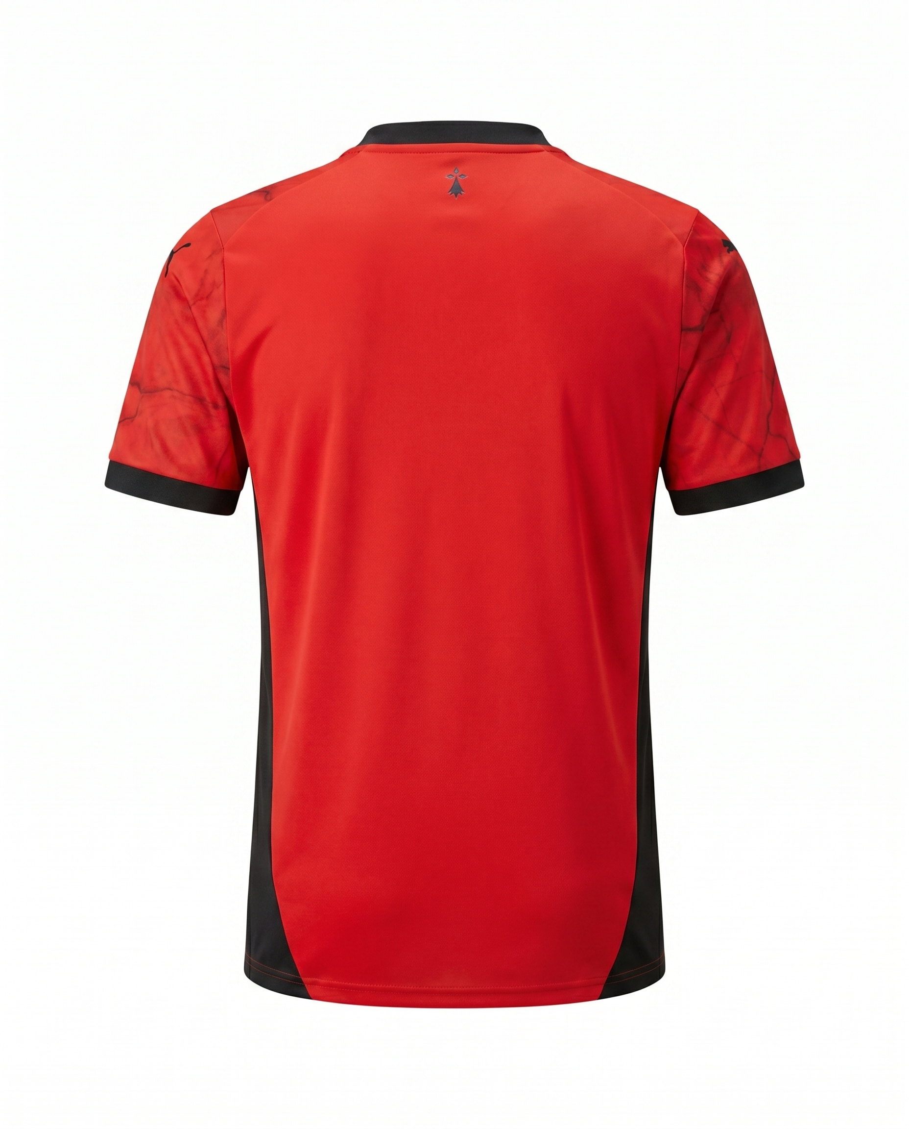 Rennes Domicile 2024-2025