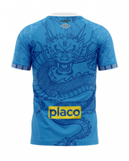 Santos Domicile 2025-2026