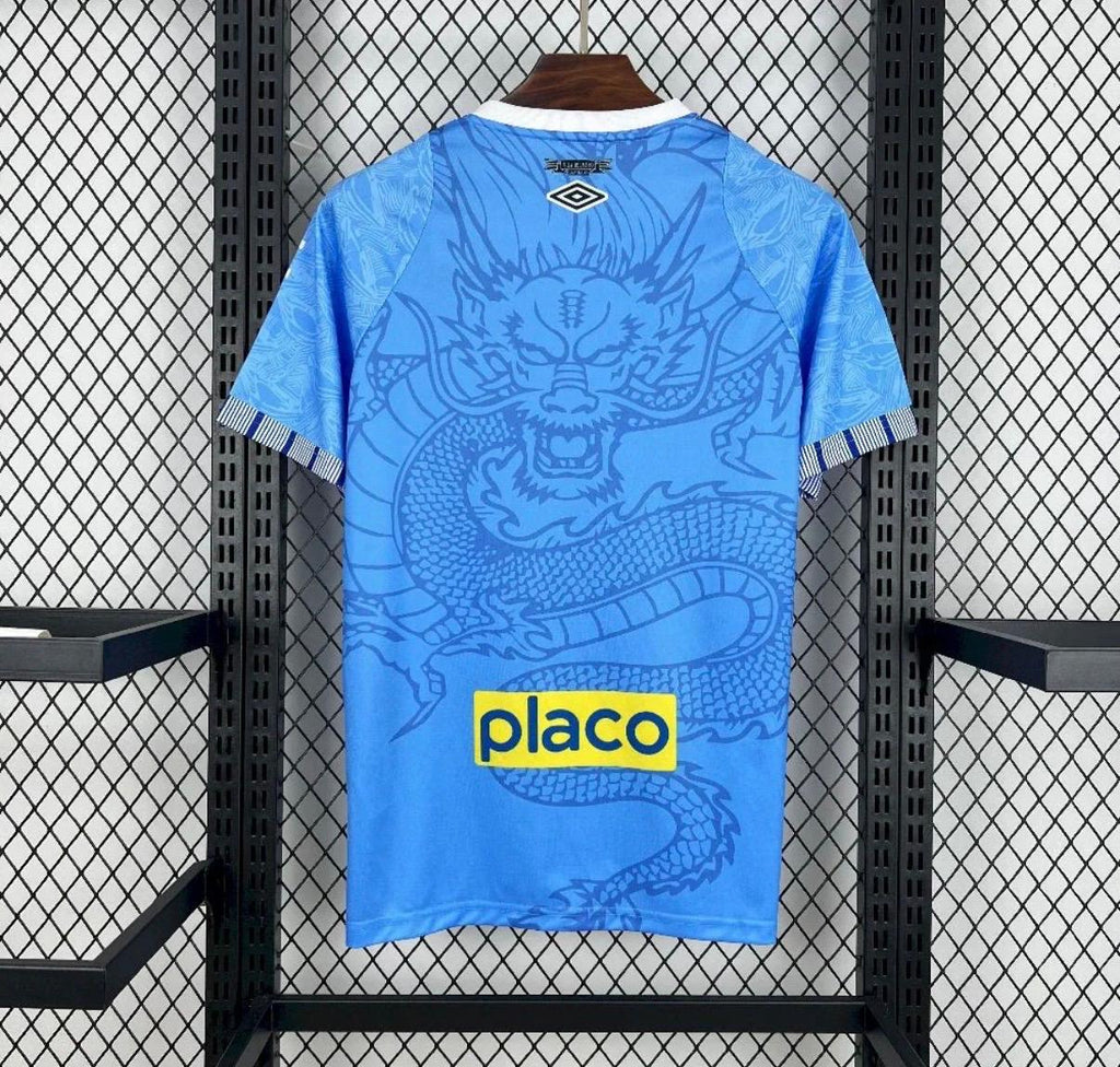 Santos Domicile 2025-2026