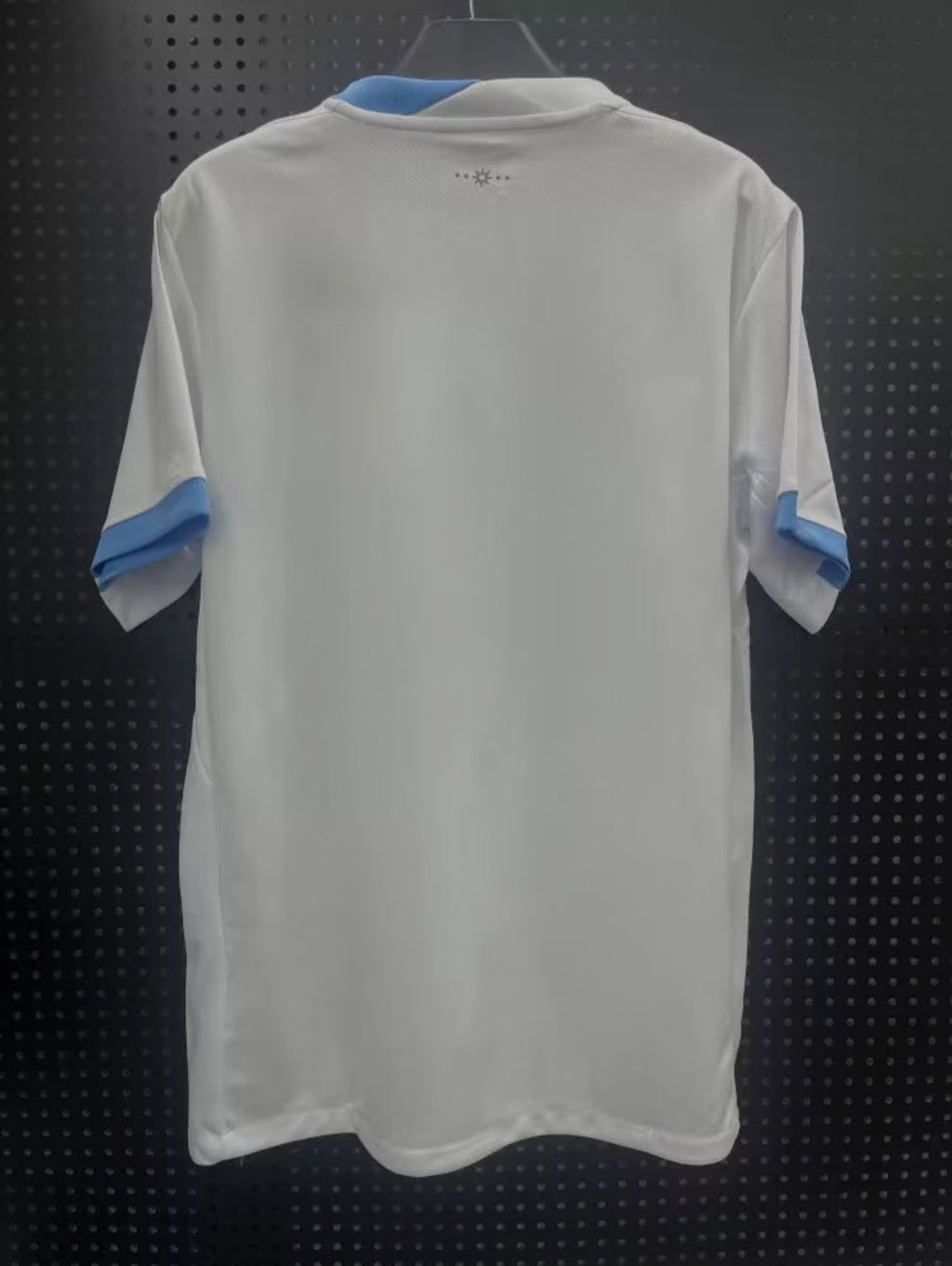 Uruguay 2025-2026