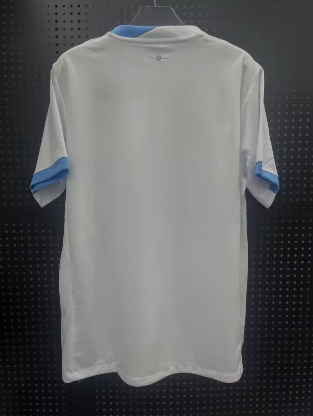 Uruguay 2025-2026