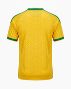 Mailot De Foot Afrique Du Sud Coupe Du Monde