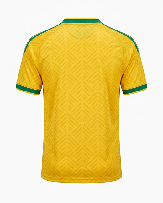 Mailot De Foot Afrique Du Sud Coupe Du Monde