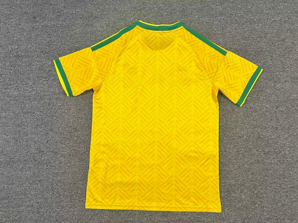 Mailot De Foot Afrique Du Sud Coupe Du Monde