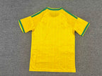 Mailot De Foot Afrique Du Sud Coupe Du Monde
