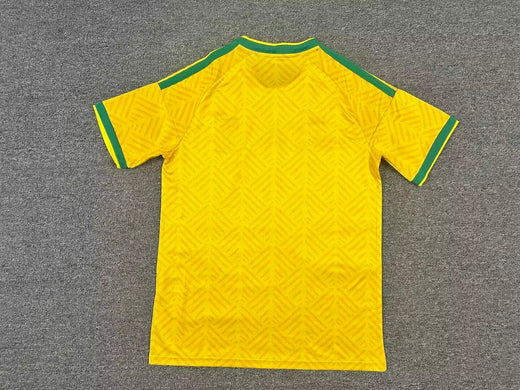 Mailot De Foot Afrique Du Sud Coupe Du Monde
