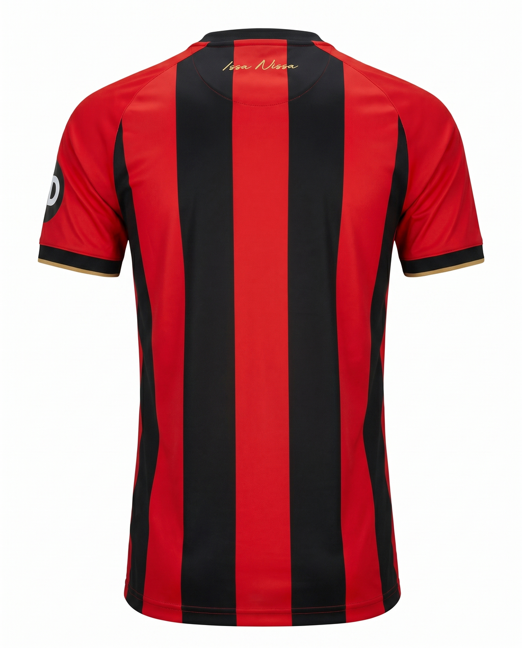 Ogc Nice Domicile 2025-2026