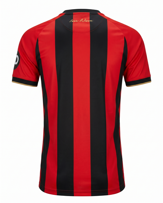 Ogc Nice Domicile 2025-2026